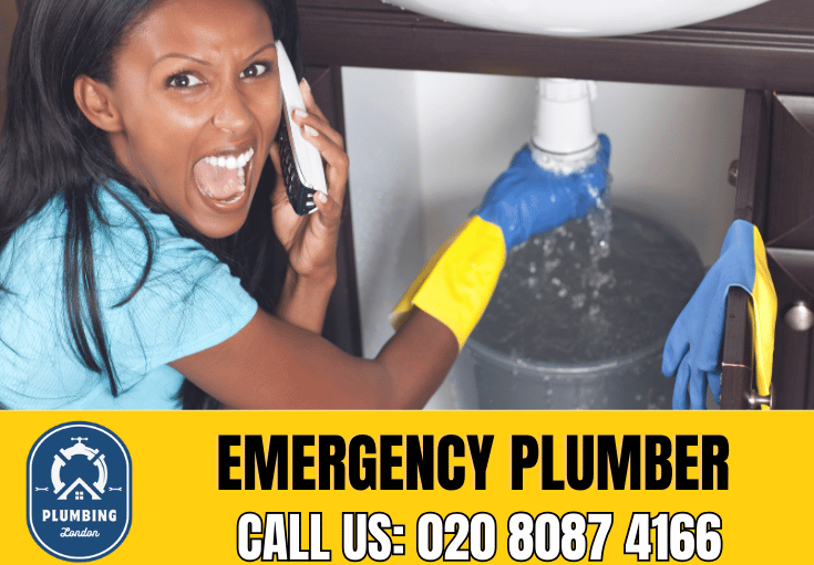 emergency plumber South Croydon