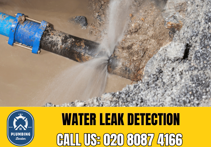 leak detection South Croydon