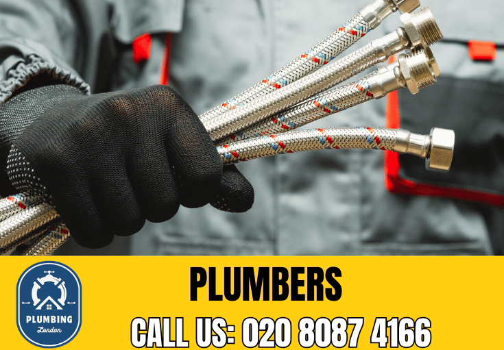  plumber Purley Oaks