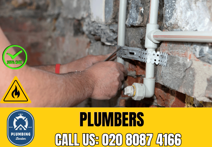  plumber Sanderstead