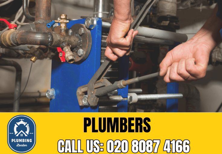  plumber Selsdon